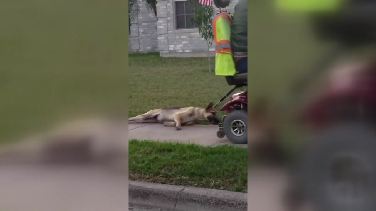 Texas man seen dragging dog behind scooter